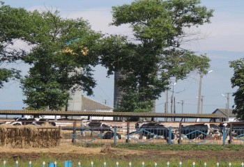 Система відеоспостереження для сільськогосподарського підприємства